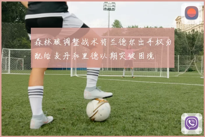 森林狼调整战术将兰德尔出手权分配给麦丹和里德以期突破困境